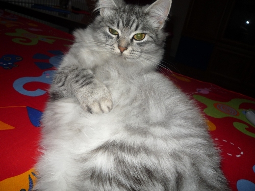 Ах, тяжела жизнь на Рублёвке...