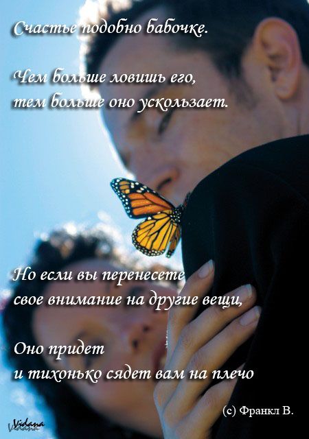 Бабочка на плече