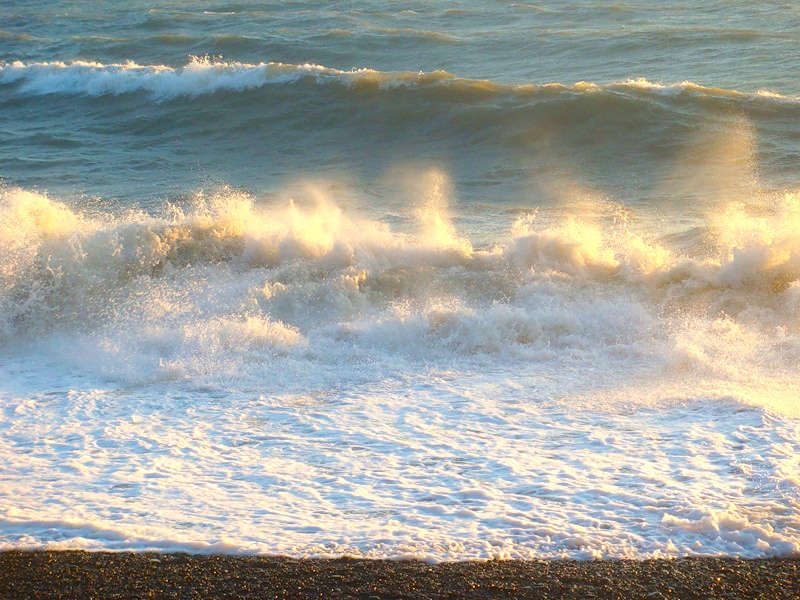 Девица моря