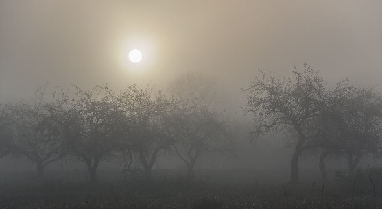 Солнце я тебе дарю!