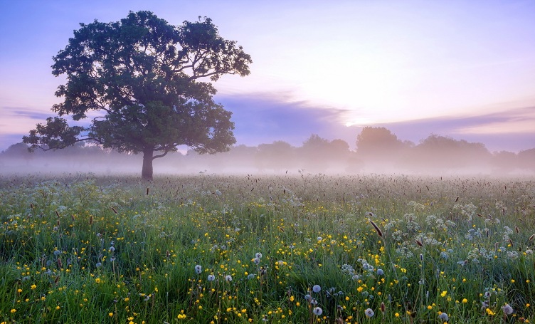 Ты пришла, вот красота!