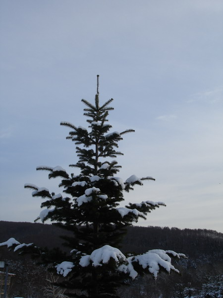 В декабре мороз и стужа