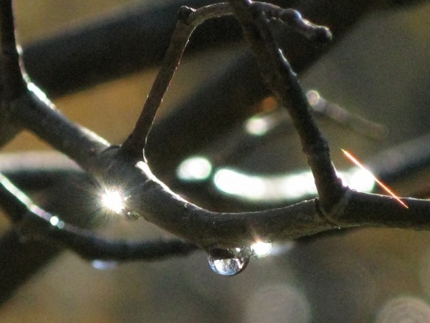 Как исправить?!