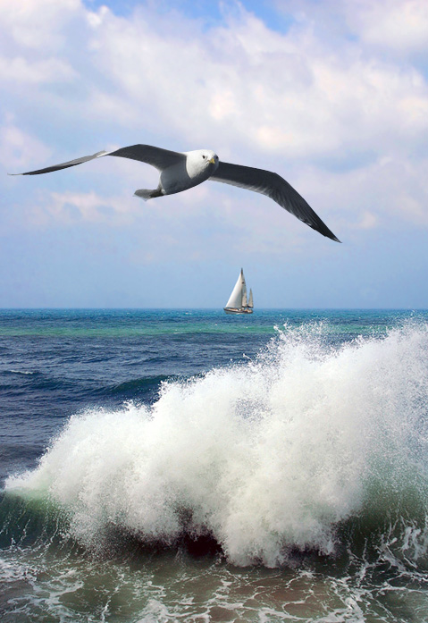 Легенда об Альбатросе