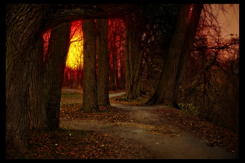 О как же ты изменчива погода...