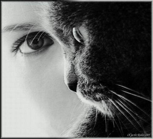 спрятал душу