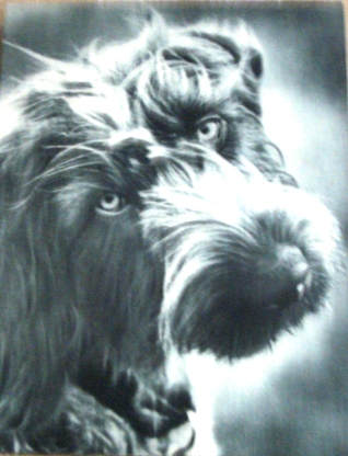 Советы психолога