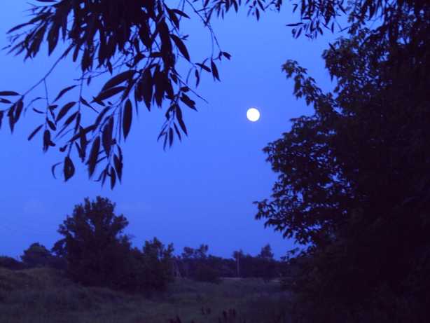 падал в сны