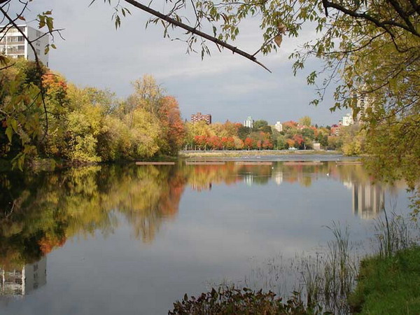 Осенняя зарисовка