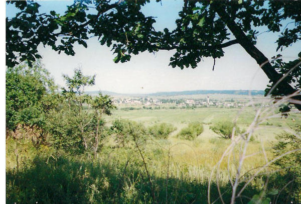 Судьба неповторимая - 2