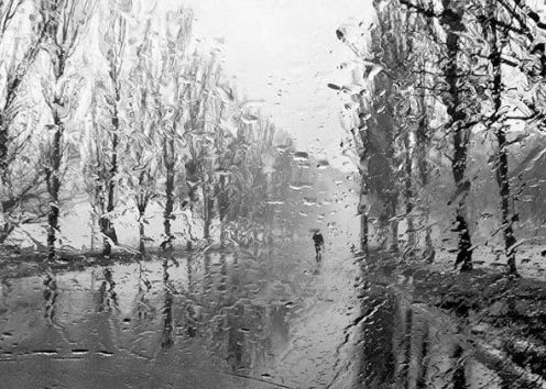 И мглу, и серость проклиная...