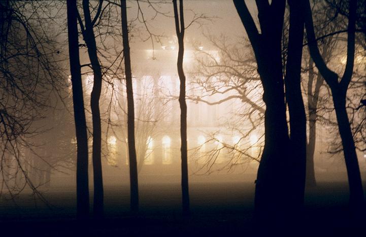 Ноябрьский туман