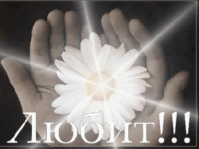 Розмова з ромашкою