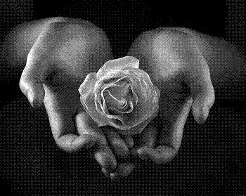 Я подарю тебе