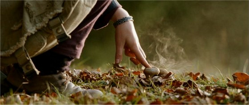 волчий табак