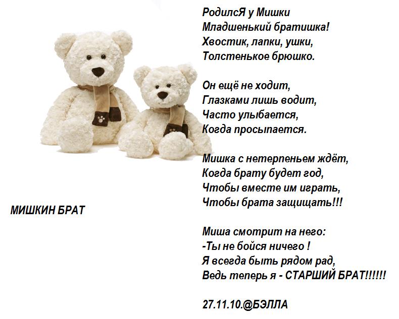 Мишкин брат