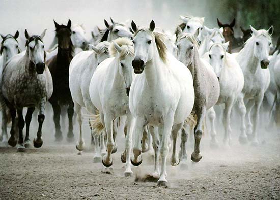 Миллиардер и его западня - 2