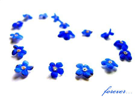 Любимому. Настоящему