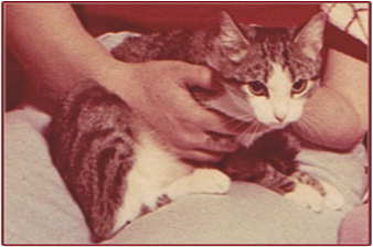 Жила-была когда-то с нами