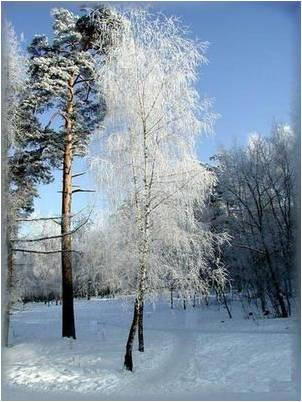 Цикличность года