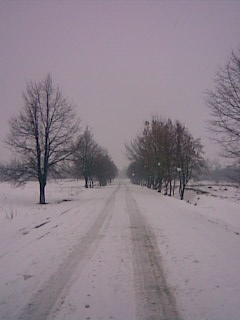 Декабрь