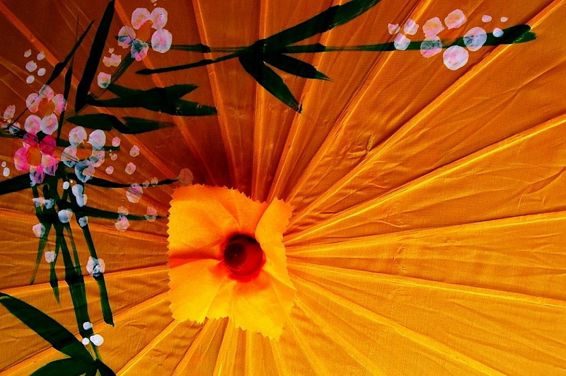 Ни в какую Америку я не поеду...