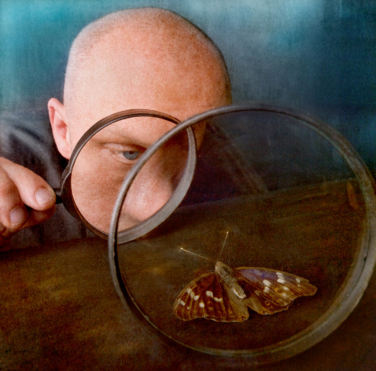 На воле бабочка жила