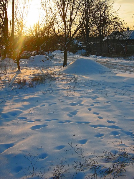 Заворожен морозной синевою