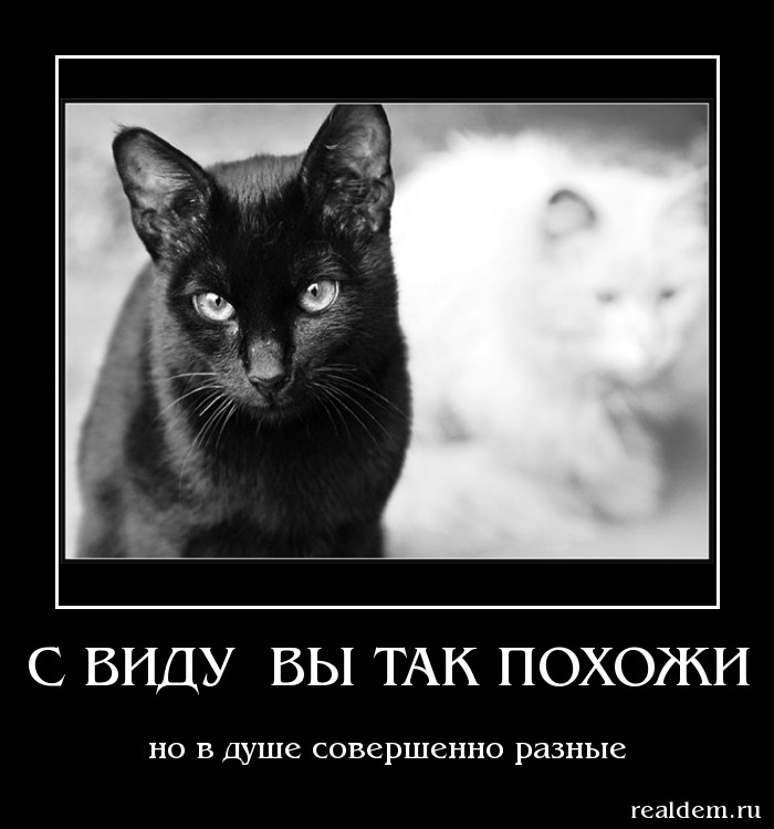 если ты не видишь недостатков в человеке. признать свою ошибку цитаты. не ищи недостатков в себе песня. не ищи недостатков в доме где тебе открыли дверь. если мужчина постоянно ищет в тебе недостатки.