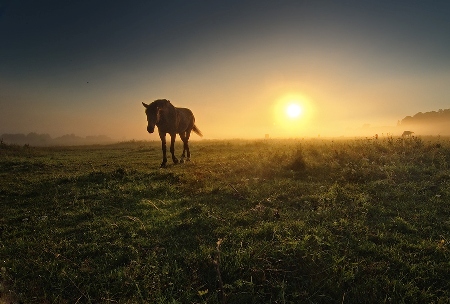 Судьба оставит шрам всегда глубокий!