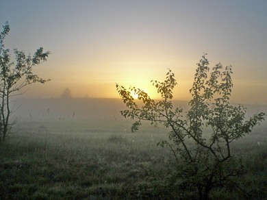 Умей прощать