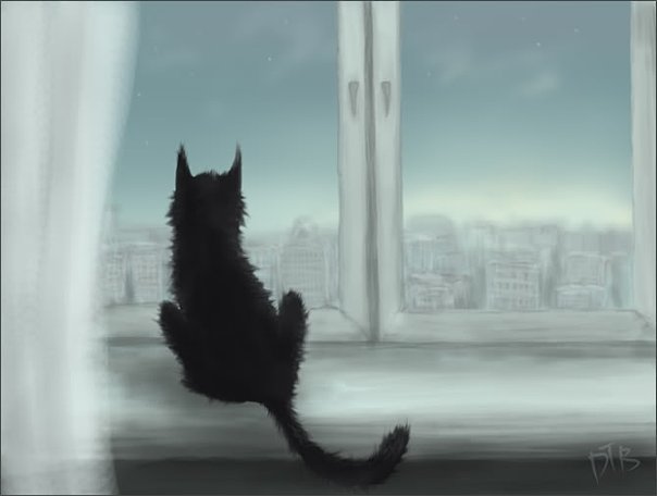Черная кошка