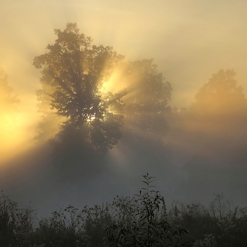 Да будет свет!