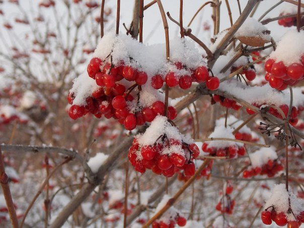Ленивое стихотворение