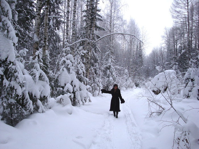 Романс Тишина