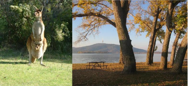 В Австралии уж осень наступила... Романс