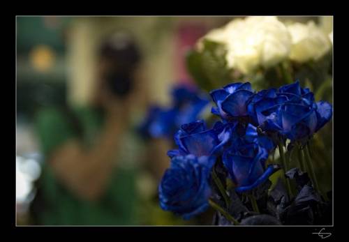 До боли в сердце