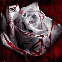 Радуйся, милый