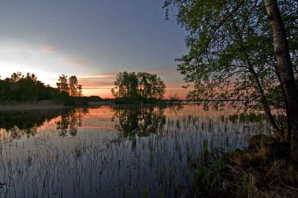 Семиструнная