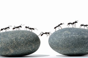 о маленьких слабостях