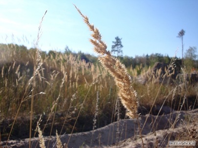 Не забывай, что жизнь - твое творение