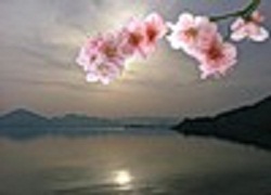 ЯпониЯ. Марина Василевская