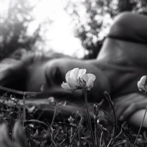 При любви в ночи признаньи!