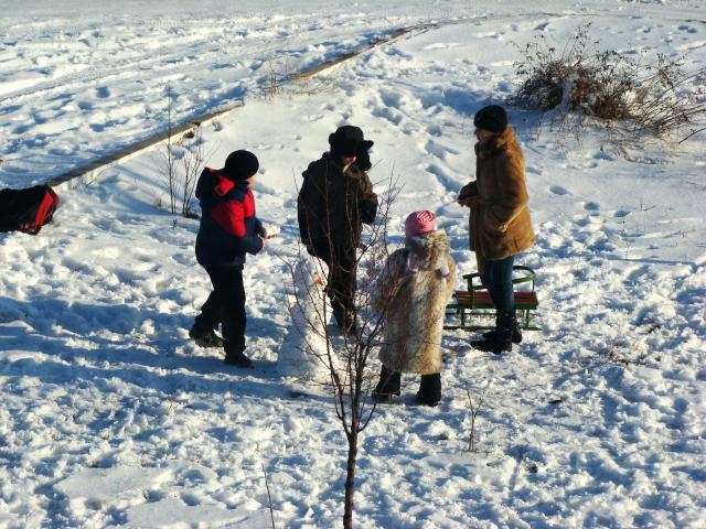 Первый снег. фото автора