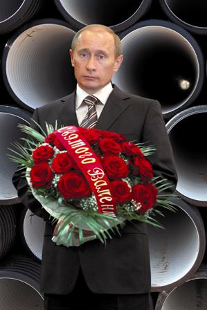 Путин С Цветами Фото