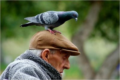 В Тихой Гавани, у реки, доживают свой срок старики