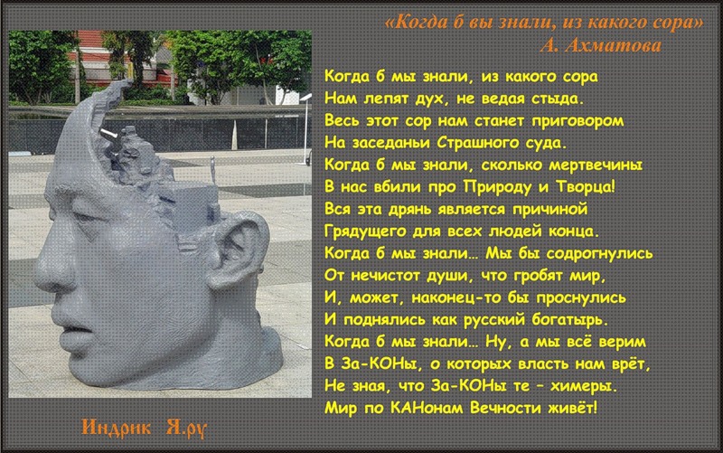 Когда вы знали из какого сора растут. Когда вы знали из какого сора растут