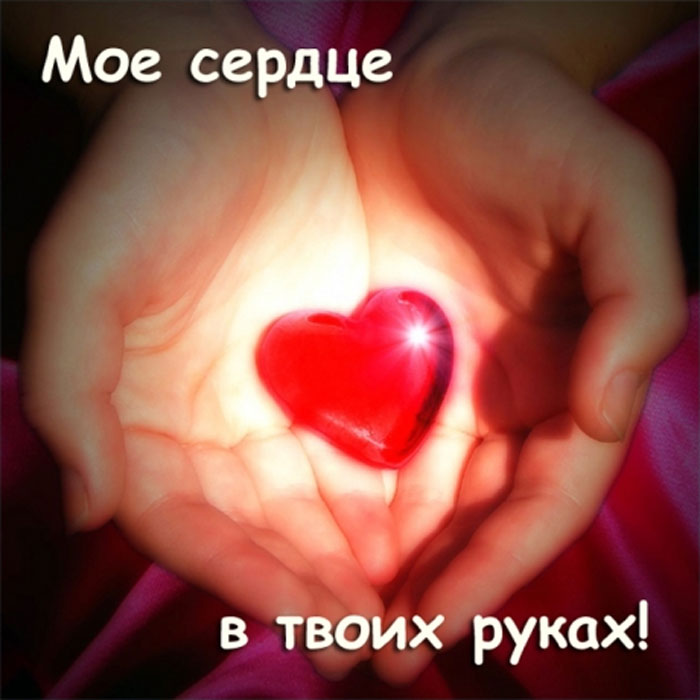 Сердце мое в руке
