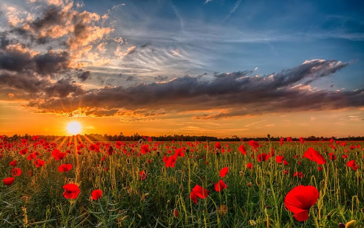 На земном пути обыкновенном!