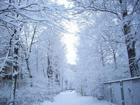 Каким тебя наречием назвать?